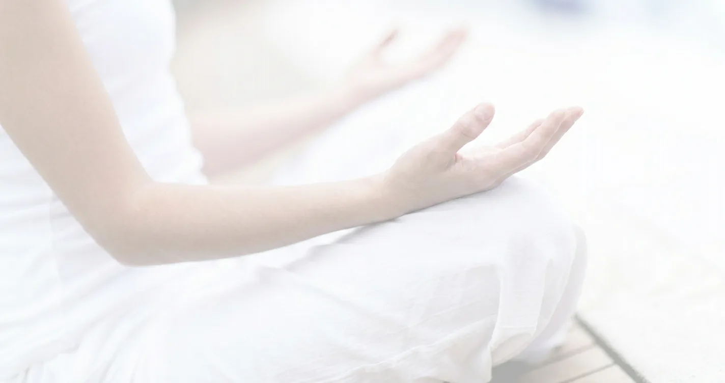 Tai Chi movement practice